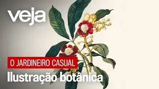 Botanical illustration, a craze that combines art and science