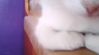 Я в деревне где ролики? Скоро будут!!