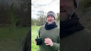 Message form Ross on Medicinal Herb Nursery Orders 2024