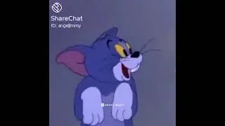 Funny video tom and jerry scenes with song
