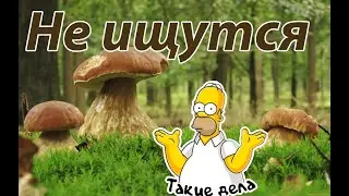 Не умею собирать грибы