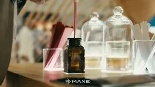 MANE TERROIR 2022