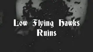 Low Flying Hawks - Ruins [Official Music Video]