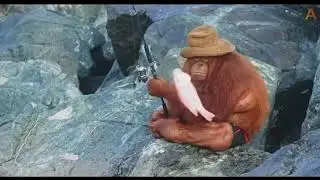orangutan fishing