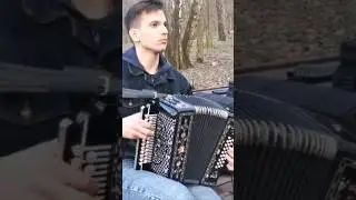 Матаня - гармонь в Измайловском парке 