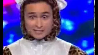 КВН Перекрасили кота