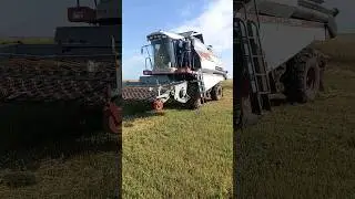 Выехали на подбор овса.