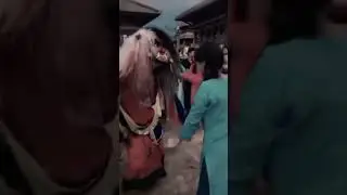😍🥰 #lakheydance  #couple  #lakhey  #shorts  #patan