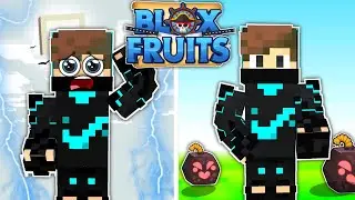 Noob to Pro in Roblox blox fruits
