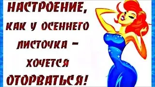 Как ДЕЛА? Как у ТРУСОВ... ВЕСЕЛЫЙ женский юмор.