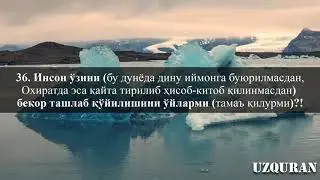 Qiyomat surasi | Сура ал-Қиямаҳ | HD | Idrees Abkar
