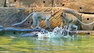 My Video 12