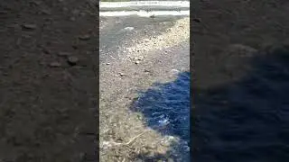 river