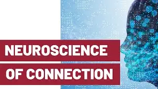 The Neuroscience of Connection and Persuasion