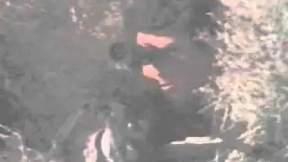 MSG90