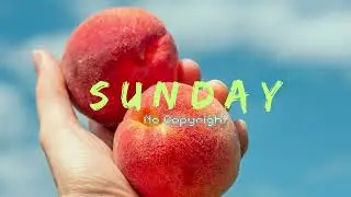 LiQWYD - Peaches《Sunday No Copyright Music》