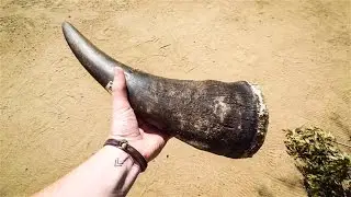 THIS IS WORTH $700,000