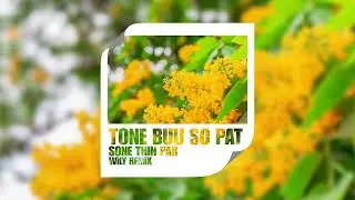 Sone Thin Par - Tone Buu So Pat [WiLY BAiLE REMiX]