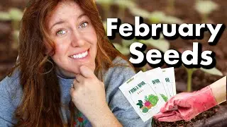 Seeds You NEED to Start In February