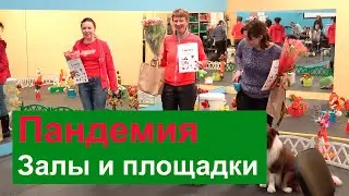 Пандемия: залы и площадки возвращаются к нормальной работе