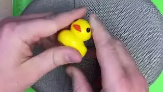 Duck pouch