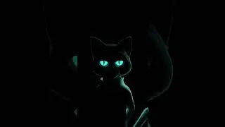 Cat? 