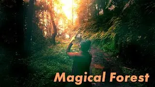 Magical Forest Canon 700D Inspired by Brokilon forest in Witcher