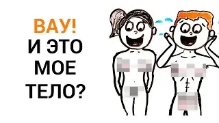 Ваше тело удивительно