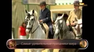 Самые удивительные праздники мира