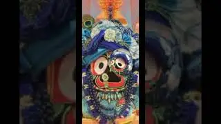 Chakaakhi ❤️🙏….#rathayatra2024 #puri #jagannath #rekalia