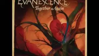 Amy Lee - Together Again