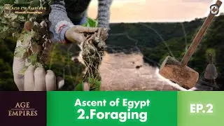 The Sahara Was Once A Fertile Land | Age of Empires: Ascent of Egypt