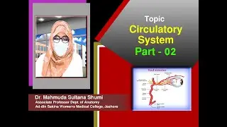 Circulatory System Part-2 II Dr. Mahmuda Sultana Shumi, Assoc. Prof. II Anatomy II ASWMC II Online