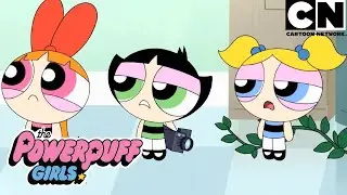 Caos, risadas e ação com as meninas | As Meninas Superpoderosas | Cartoon Network 🇧🇷