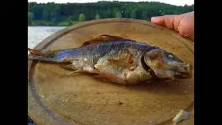 Актаныш, Шэрип куле