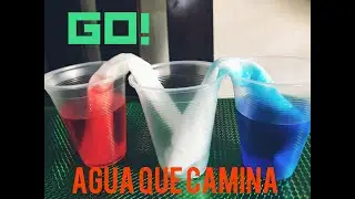 Experimento con agua niños pequeños Agua que camina