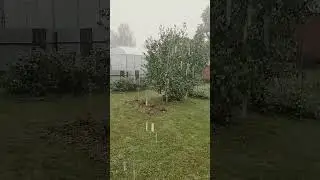 Снова 3 июня, ЛИВЕНЬ