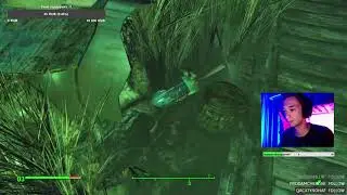 Местные чайки / Fallout 4