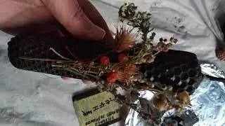 8 апреля 2021 г. формула Сэм Сэма 
