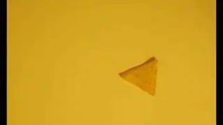 The Tortilla Chip