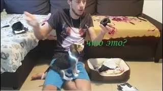 Он отобрал канал! Посылки с Китая для щенка!