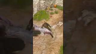 Ослизги... The Witcher 3: Wild Hunt | Ведьмак 3: Дикая Охота.