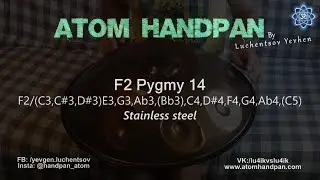 F2 Pygmy 14 notes Extended Atom Handpan stainless steel