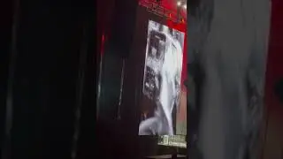 Концерт Дианы Арбениной