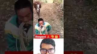 Allah Helps all people