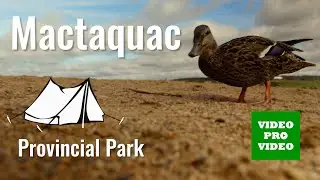 Супер кемпінг (Mactaquac) - номер 1 для відпочинку