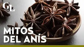 ¡Mejora tu digestión con el ANÍS! Descubre sus beneficios para la salud