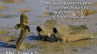 Relatable Memes 