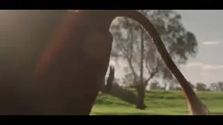 Porn cow pooping part 3