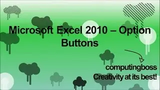 Microsoft Excel 2010 - Option Buttons